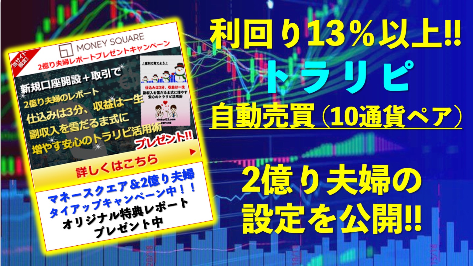 ２億り夫婦のトラリピfx自動売買10通貨ペア設定を公開 オージーキウイも 資産運用で2億円を目指す医師夫婦の挑戦